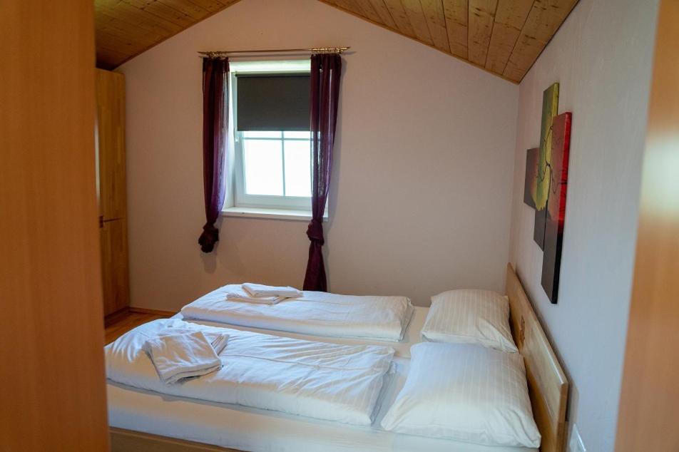 Apartment Rindis Platzl Apartmenthaus Schladming